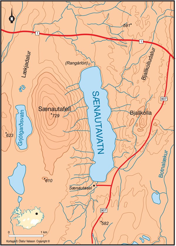 Sænautavatn