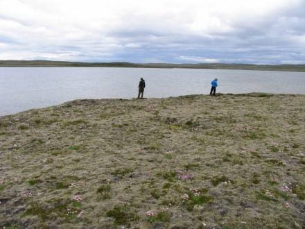 Arnarvatn litla - Veiðistaðavefurinn