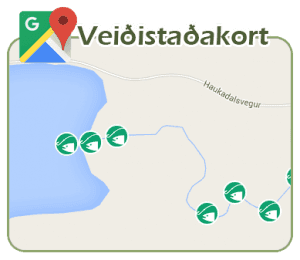 Veidistadakort_Haukadalsa_efri